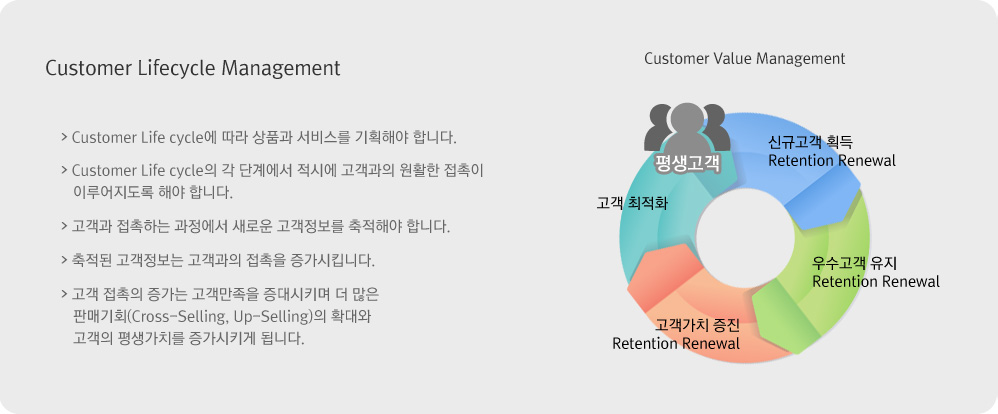 Customer Lifecycle Management